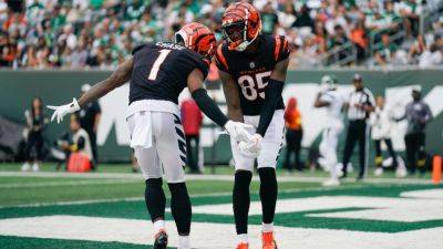 Zac Taylor - Bengals' Tee Higgins out vs. Texans; Ja'Marr Chase questionable - ESPN - espn.com - county Boyd - county Tyler