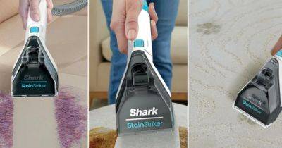 Shark gadget hailed a 'game changer' for pet owners that gives '8x a deeper clean' than vacuums slashed by £100