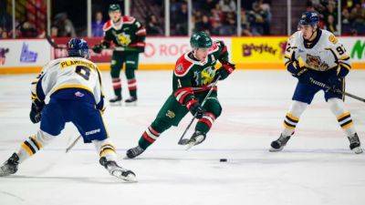 Halifax Mooseheads star ties franchise record for career points
