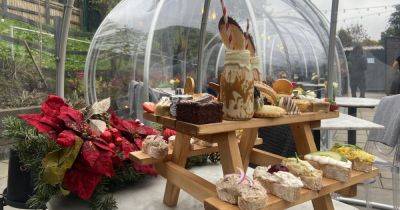 First look at this Greater Manchester café's £26 Festive Afternoon Tea served in a heated igloo