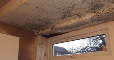 The 'shocking' failures which left mum and three young kids stuck in 'uninhabitable home' full of damp and rot