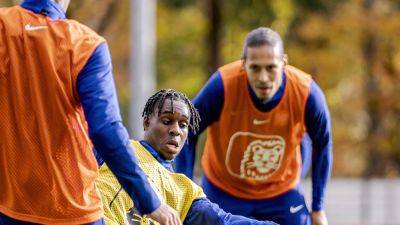 Netherlands hit by more injuries ahead of Ireland's visit to Amsterdam