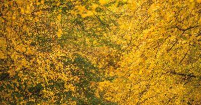 The days are getting shorter and the nights longer - thank goodness we live in Manchester - manchestereveningnews.co.uk