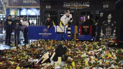Ice hockey: Nottingham Panthers pay tribute to late player Johnson
