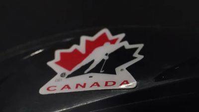 Jonathan Goldbloom named Hockey Canada board chair as new directors elected - cbc.ca - Canada