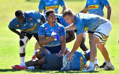 Bok, Stormers centre calls it a day