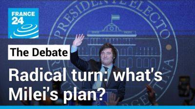Elon Musk - Donald Trump - Alessandro Xenos - Radical turn: What's populist Javier Milei's plan for Argentina? - france24.com - France - Usa - Argentina