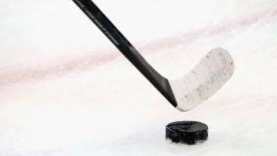 Nova Scotia - Clash over cowbell: Hockey coach in Nova Scotia accused of assaulting referee - cbc.ca