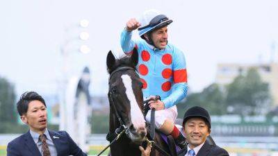 World's highest-rated horse Equinox reigns in Japan Cup