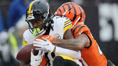 Steelers' Diontae Johnson faces scrutiny over effort amid fumble: 'Loser mentality'