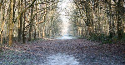 The Greater Manchester woodland walk perfect for a chilly day