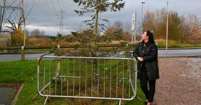 Residents slam 'shocking' Christmas tree planted in Greater Manchester