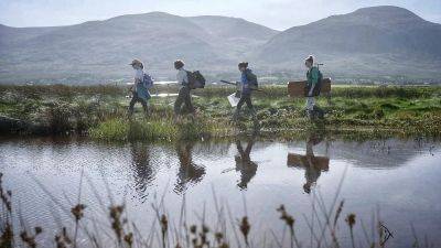 Could Europe's coastal wetlands address our climate change concerns?