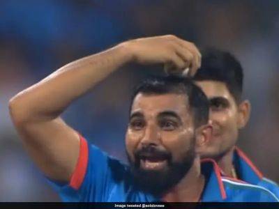 Cricket World Cup 2023: Mohammed Shami's Ball On Head Gesture Leaves Internet Puzzled. Shubman Gill Provides Answer