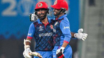 Netherlands vs Afghanistan, Cricket World Cup 2023: Clinical Afghanistan Secure Big Win, Keep Alive Semifinal Hopes