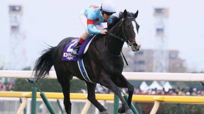 Exceptional Equinox retired to Shadai Stallion Station - rte.ie - Japan