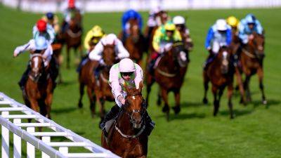 Favourable draw for Willie Mullins' Melbourne Cup favourite Vauban