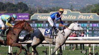 Horse racing-White Abarrio storms to victory in Breeders' Cup Classic - channelnewsasia.com - Usa - Japan - county White - state California - county Park - city Santa