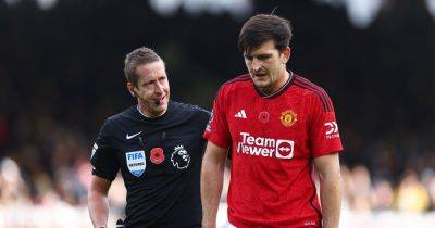 Why Manchester United referee should be praised for performance vs Fulham