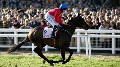 Henry De Bromhead's A Plus Tard likely to skip Betfair Chase