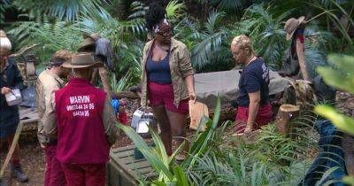 I'm A Celebrity fans say 'I sense it' as they work out who'll be involved in next camp row