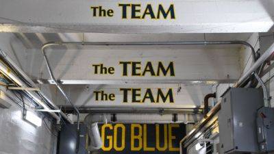 Michigan grad sues over reassigned 'G0BLUE' license plate - ESPN