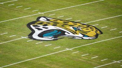 Ex-Jaguars employee pleads guilty to charges over team theft - ESPN - espn.com - Usa