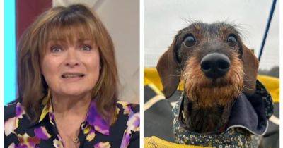 Lorraine Kelly issues warning to pet owners after beloved dog rushed to emergency room