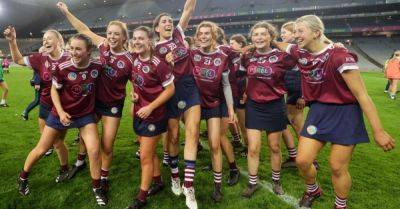 Dicksboro beat Sarsfields to land first All-Ireland club camogie title