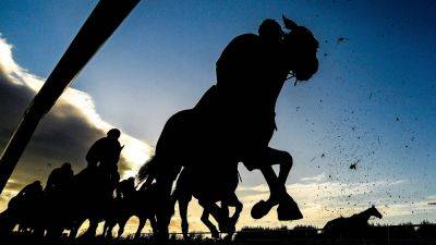 Fairyhouse Winter Festival to begin on Saturday after inspection