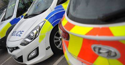 'Dangerous XL Bullys and pitbulls', drugs and ammunition seized in raids with two arrested - manchestereveningnews.co.uk
