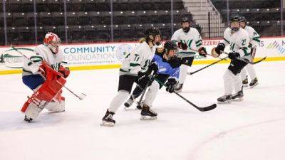 Swiss star Alina Müller among PWHL Boston squad boasting depth up and down lineup
