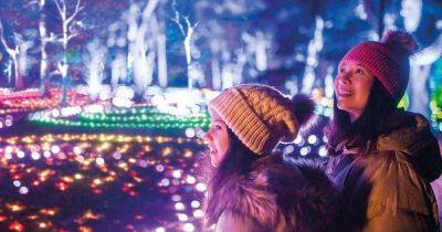 There’s still time to see the light trail at Dunham Massey over Christmas