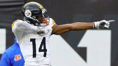Ex-NFL star Donovan McNabb fires stark warning at Steelers' George Pickens over effort issues