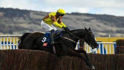 Star chasers set to collide in Savills Chase - rte.ie - Ireland - county Park