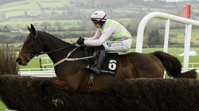 Willie Mullins - Gaelic Warrior crushes Faugheen Novice Chase Grade One rivals at Limerick - rte.ie - Usa
