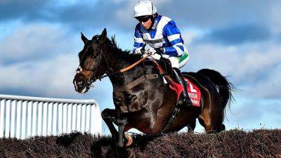 Frodon set to spend retirement with Bryony Frost