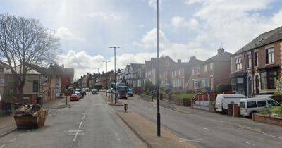 Armed cops destroy dogs following attack in Sheffield - manchestereveningnews.co.uk