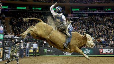 The basics of bull riding: A look into the 'most dangerous 8 seconds in sports'