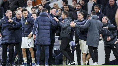 Ange Postecoglou - Andoni Iraola - Tottenham Hotspur - Giovani Lo Celso - Ange Postecoglou plays down melee as New Year greeting - rte.ie - county Cooper