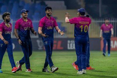 Ibrahim Zadran - Najibullah Zadran - UAE finish year on high as bowlers seal victory over Afghanistan in T20 series - thenationalnews.com - Uae - Afghanistan