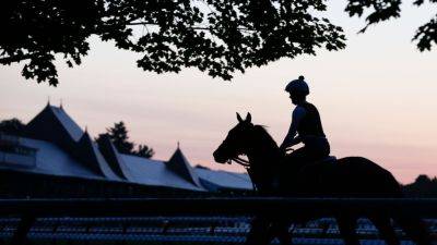 Renovations will move Belmont Stakes to Saratoga in 2024 - ESPN - espn.com - Usa - New York - county Belmont - county Park