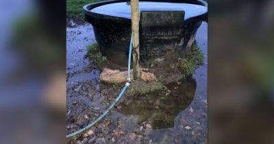 "It’s hard to comprehend": Emaciated dog 'tied to farm trough and left to freeze to death' - manchestereveningnews.co.uk