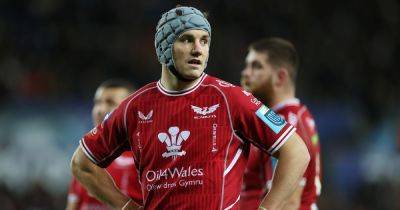 Castres v Scarlets Live: TV channel, kick-off time and score updates