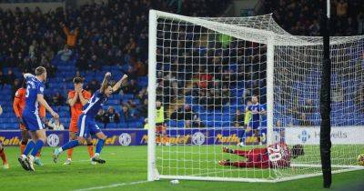 Aaron Ramsey - Kevin Nisbet - Cardiff City 1-0 Millwall: Goutas header gets Bluebirds back to winning ways - walesonline.co.uk - Iceland - city Cardiff
