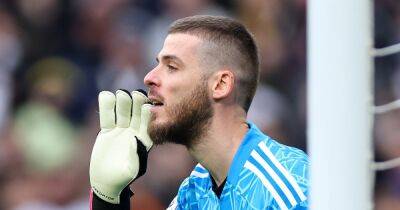 Alex Ferguson - David De-Gea - Rene Meulensteen - Peter Schmeichel - Edwin Van - Rene Meulensteen ranks David de Gea up against two legendary Manchester United goalkeepers - manchestereveningnews.co.uk - Manchester - Madrid
