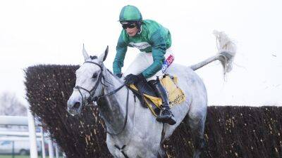 Popular Bristol De Mai retired by owners - rte.ie - France - county Bristol - county Chase