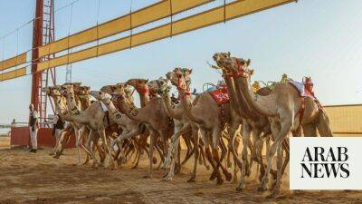 AlUla Camel Cup to crown ‘Champion of Champions’ in stunning setting