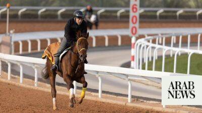 Pride in outstanding Japanese results for world traveler Matsuda