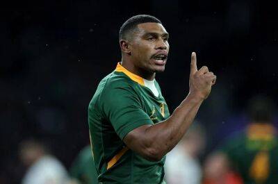 Damian Willemse - Frans Steyn - Jacques Nienaber - Willemse or Pollard? Springbok coach pleased with flyhalf depth as World Cup looms - news24.com - Britain - France - Argentina - South Africa -  Cape Town